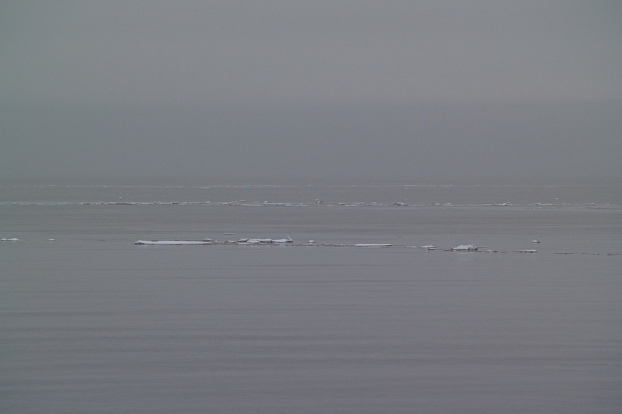 Eisschollen auf der Nordsee